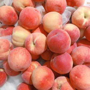 主播户外勾塔视频观看方法
