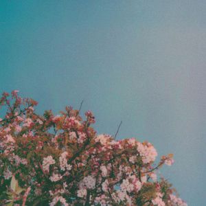 主播户外勾塔视频观看方法
